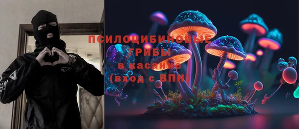 PSILOCYBIN Абинск