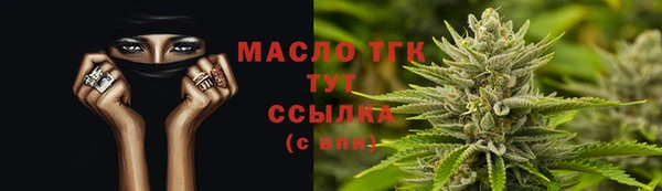 СК Алексин
