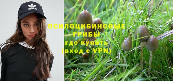 mdpv Алзамай