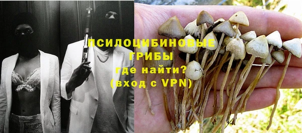 mdpv Алзамай