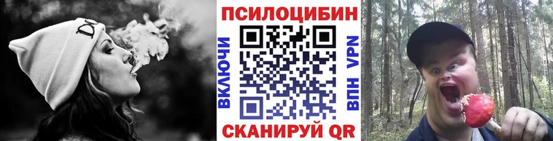Галлюциногенные грибы Cubensis Дрезна